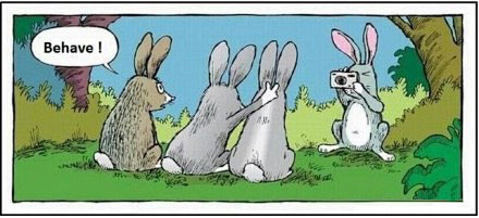 电影5个热门故事 本土化策略成行业案例