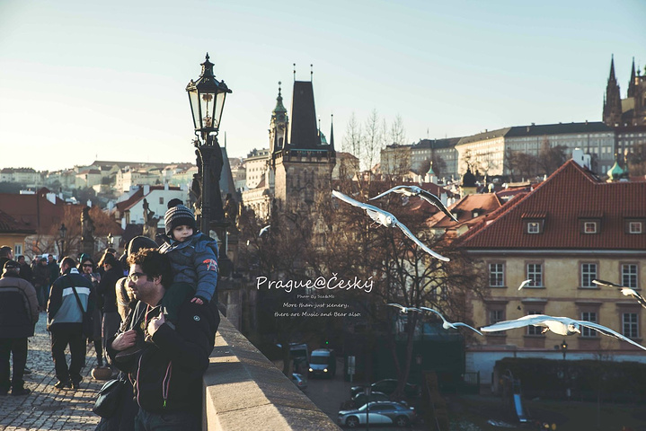 黑料网 每日大赛,黑瓜网