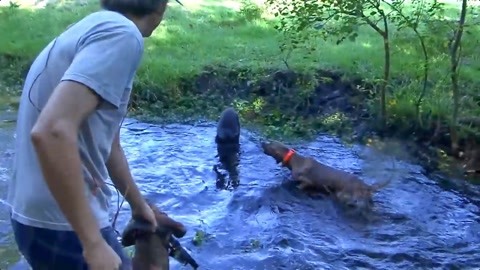 潘金莲之前世今生 未删减版