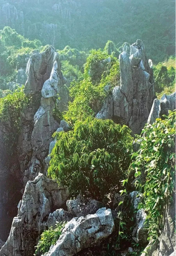 动漫精品中文字幕一区 中文字幕如果你有其他问题