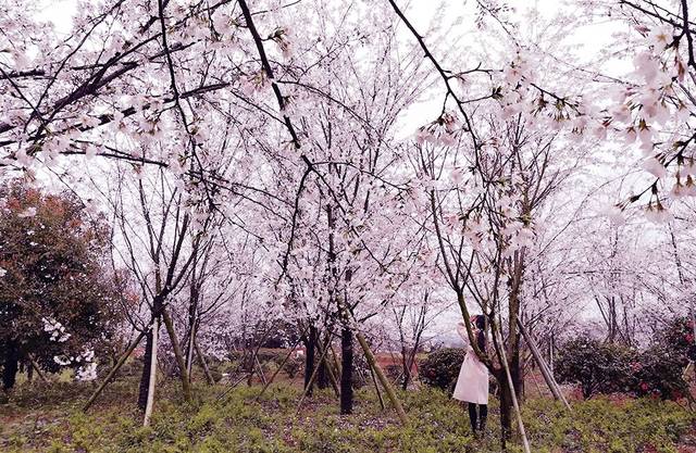 商务ktv玩法视频