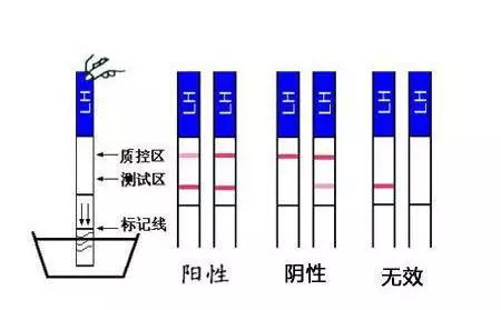 国产一级无码精品视频 码精各种编辑软件也简单易用