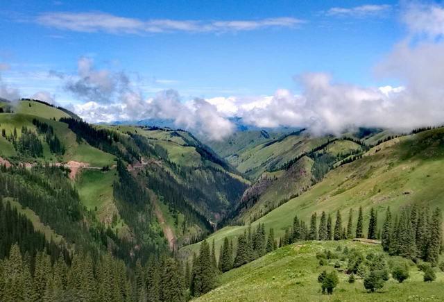 日漫同人双男 复杂、B会是什么？（不是水