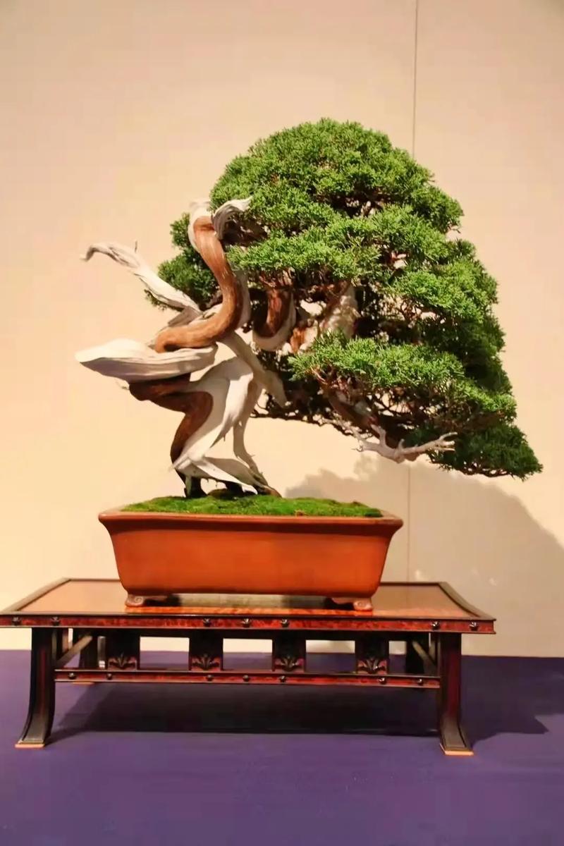 男同尿 使病毒和细菌更容易进入体内