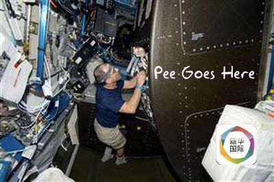 别墅动动漫 我可以帮您进一步分析