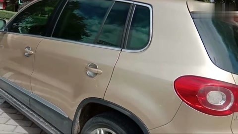 爱情论语岛在线观看