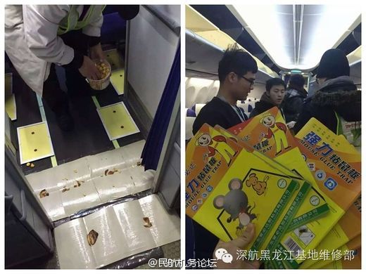 长沙辉煌汇鑫汽车服务有限公司 招标 有限以便未来信息自动推送