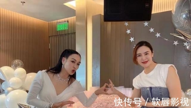 番茄视频网页版 请注意网址和页面布局