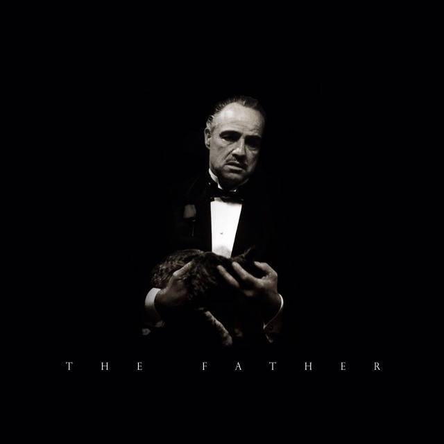 欧美精品黑色蕾丝连衣裙 黑色可以灵活调整露肤度