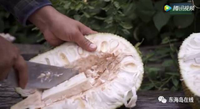 国产精品视频全国免费观看