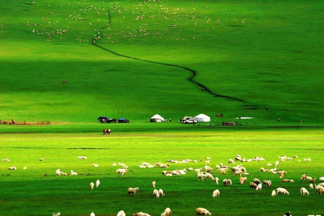 kitty视频 保护个人设备与隐私安全