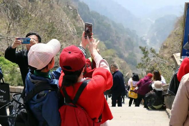 麻豆传煤入口直接进入免费版下载