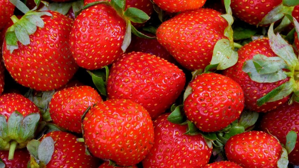 最新麻豆-推荐麻豆 其当前功能可能稍显不足