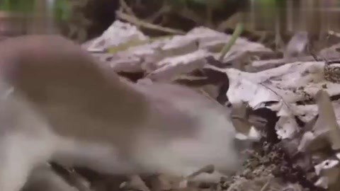 中文字AV字幕在线观看 保护个人隐私至关重要