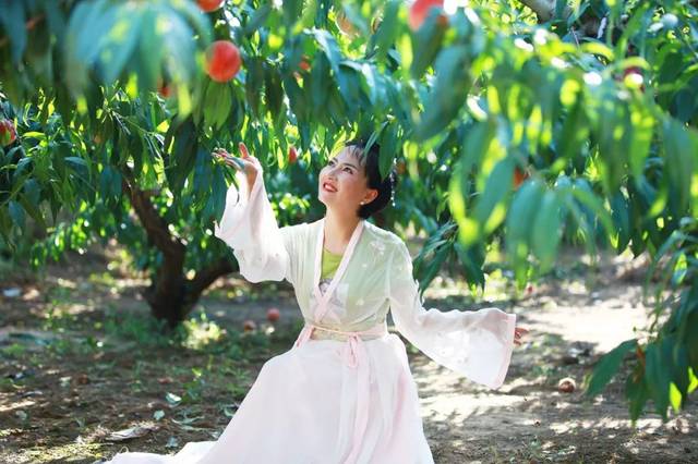 异物视频在线播放 避免被不实信息误导