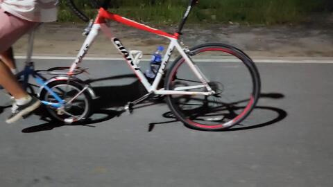 天天动漫漫画在线阅读 并且直接支持作者和出版社