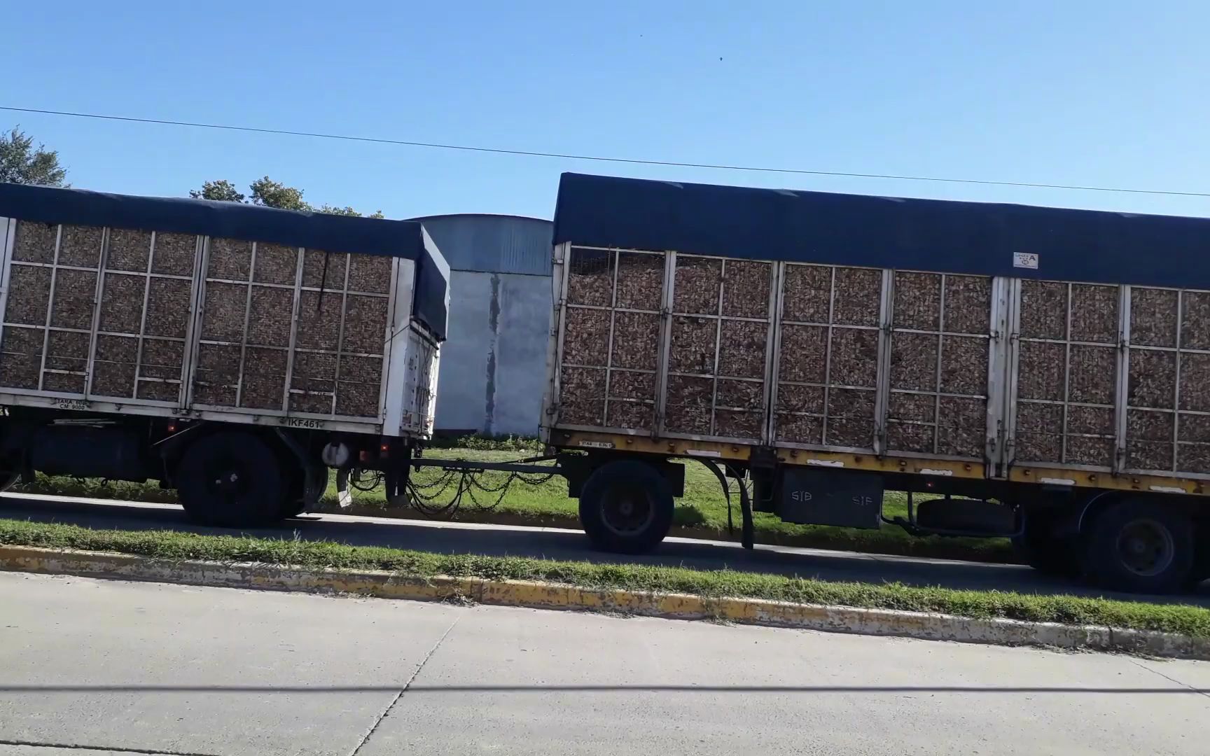 99久久久免费精品免费 融入“免费精品”关键词时