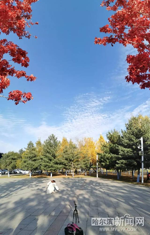 海角吃瓜网黑料泄密 法律与道德风险较高