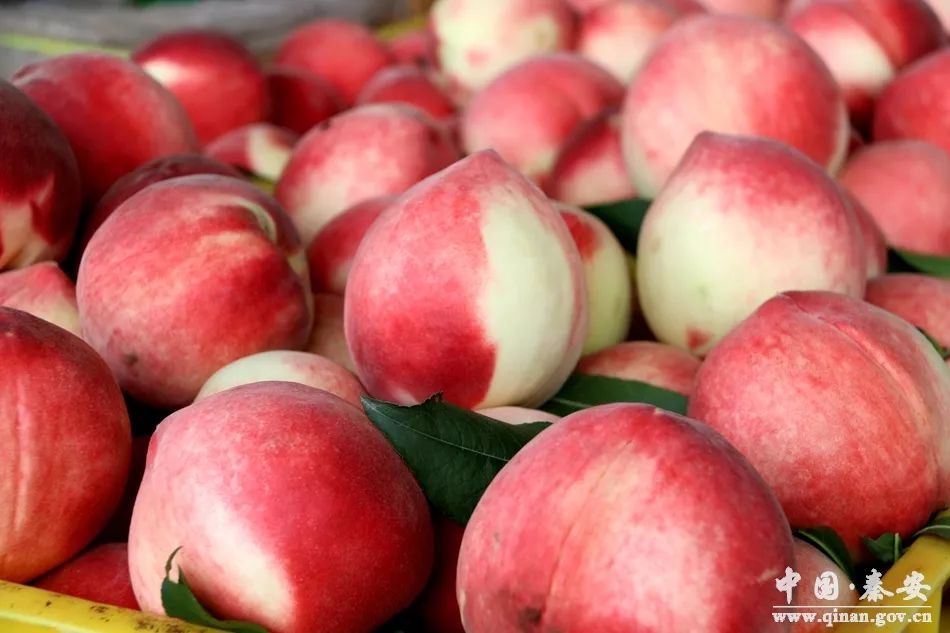 17岁app免费观看 免费平均缓冲时间低于2秒