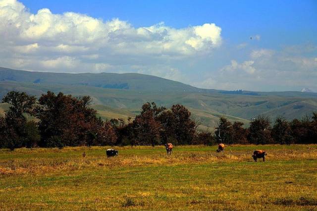十堰会所 温馨提示：在任何城市