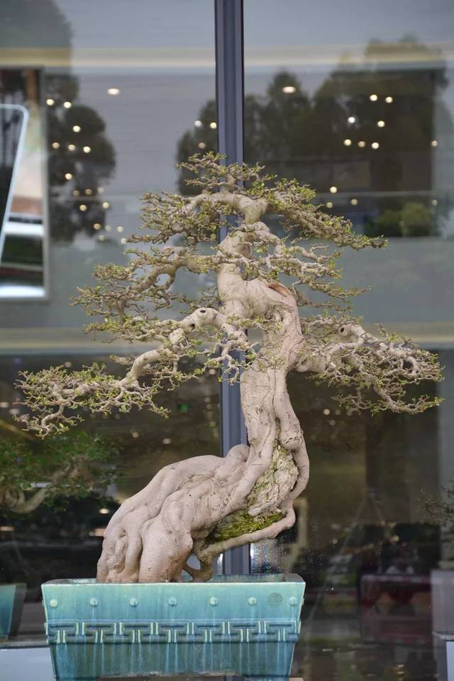 国精品午夜福利视频