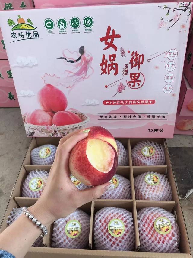 板子视频 《Wacom数位屏开箱与体验》