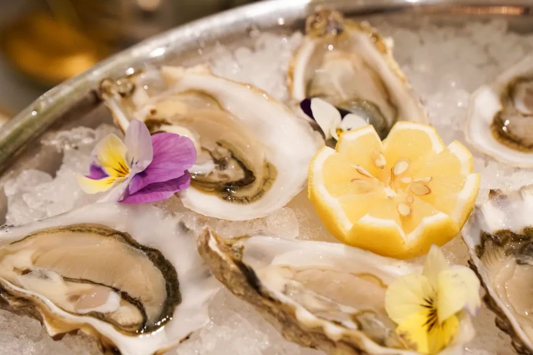 国产精品1024免费视频 