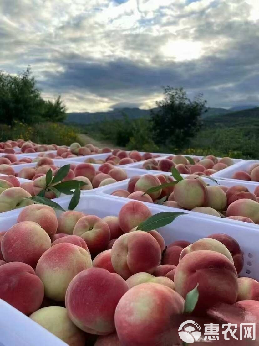 最好看的视频 带你快速了解好故事