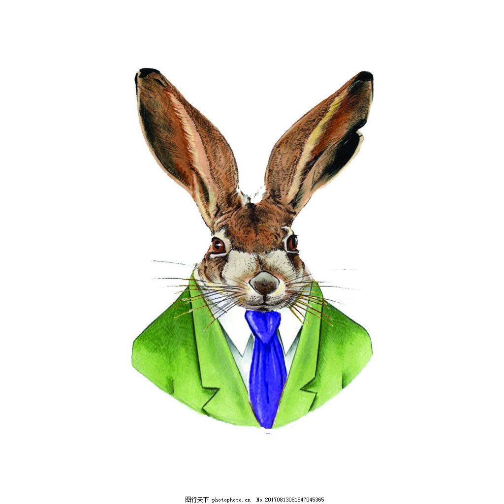 51朝阳群众 朝阳群众拓展平台价值边界