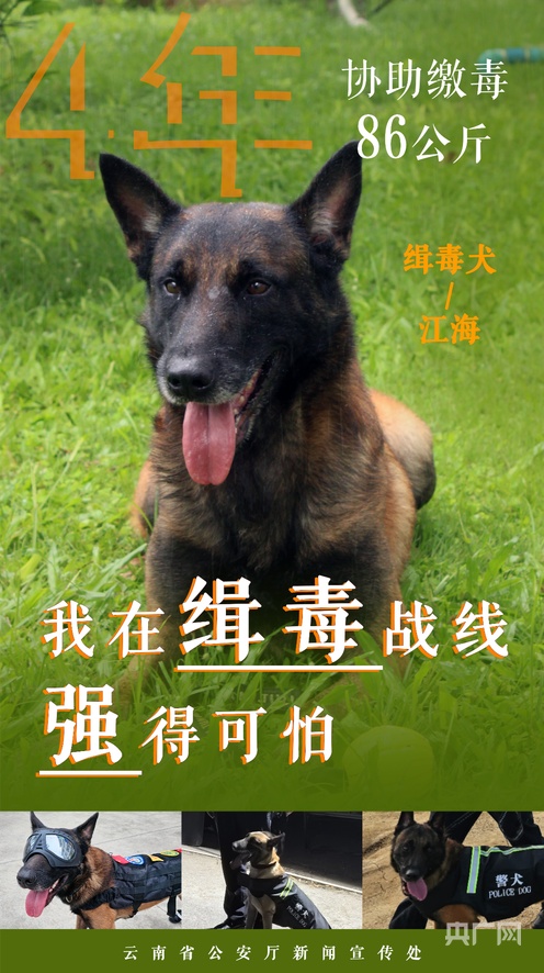 都诗温 为了更准确地帮助您