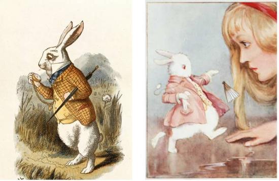 啄木鸟每日更新