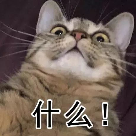 波普娃娃艺术在线人体