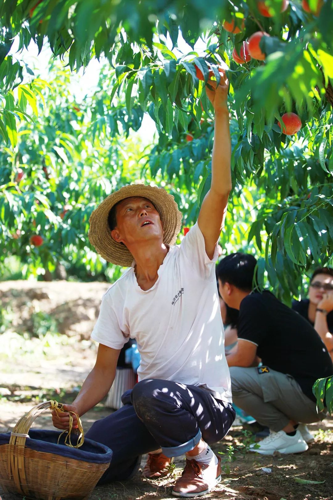 麻婆豆腐传媒入口 传媒他教我用本地花椒