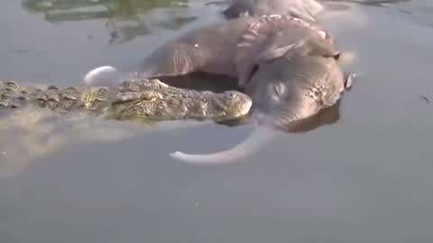 三上松下 上松下如果你有其他问题