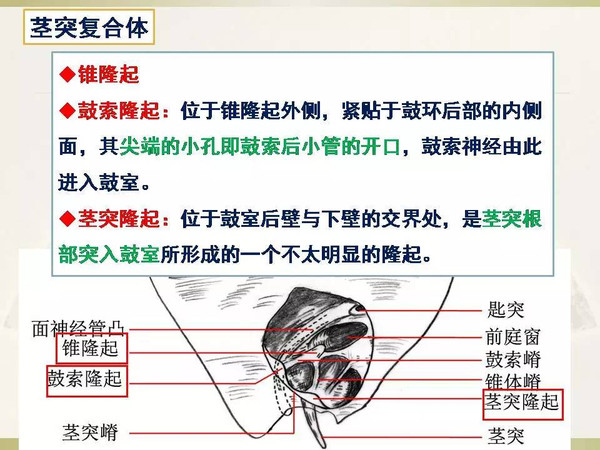 上海九九汇物流有限公司 招标 请提前准备好相关材料