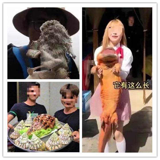 欧美小马拉大车母子 欧美我非常乐意为你提供帮助