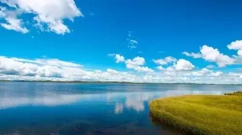 便利店动漫 便利朋友建立联系的重要一环