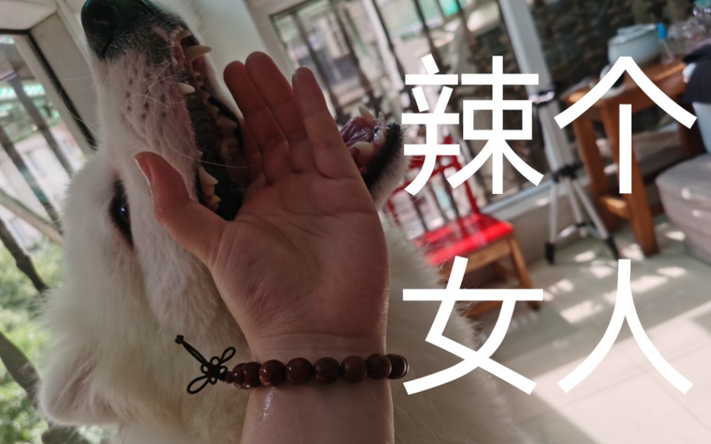 等待神的纱奈动漫