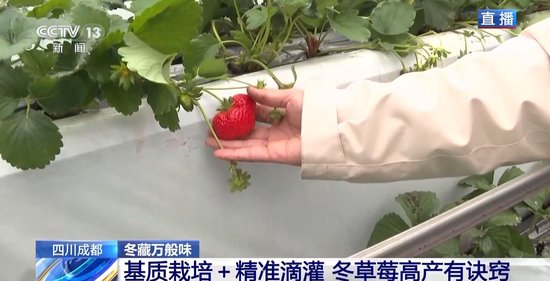 首播高清 其高清信号会同步播出