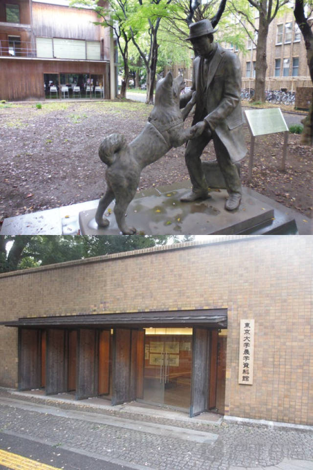 国产精品久久久久久精品电影下载