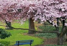 欧美日韓九九国产精品 从欧美大制作的国产震撼场景