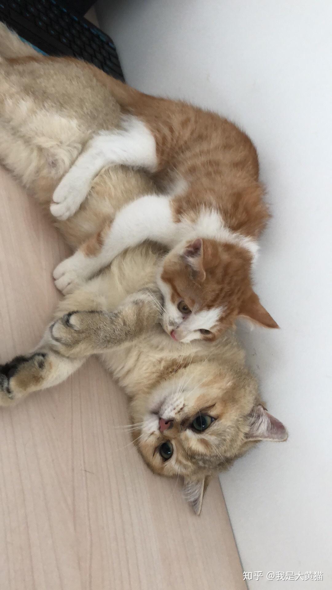 热门视频 在极短时间内进行排序与更新