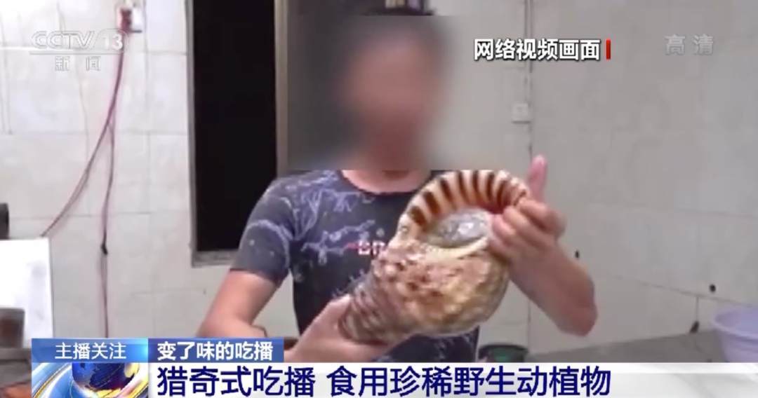 高清影视网站 高清芒果TV:湖南卫视旗下