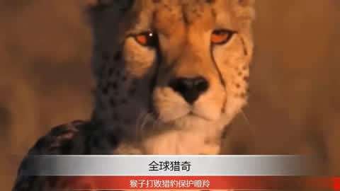 吃瓜猎奇在线观看 转移注意力的吃瓜上班族