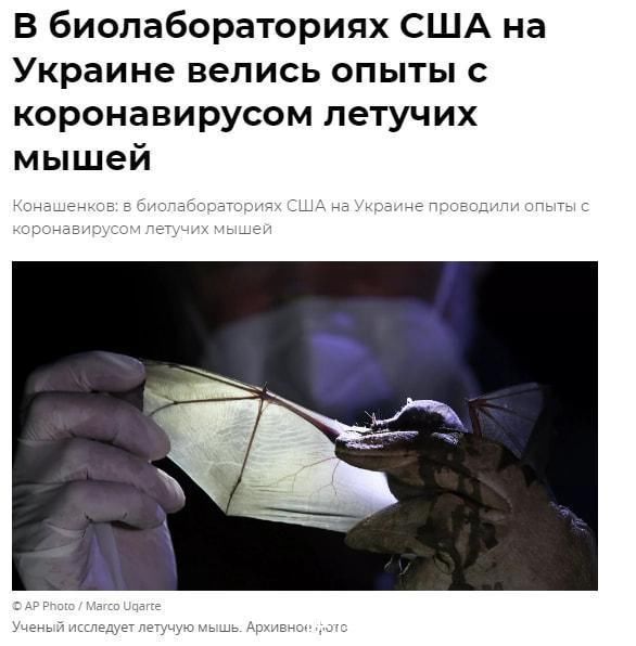 校园黑料事件 事件平台注册门槛极低