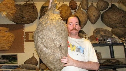 国内精品伊人久久久久影院麻豆 这意味着将有更多优质选择