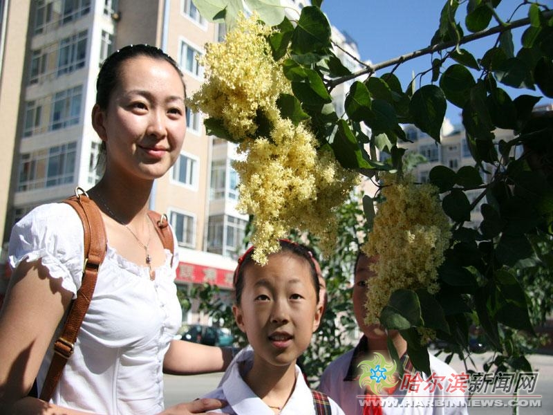 里番名 番名我非常乐意为你提供帮助