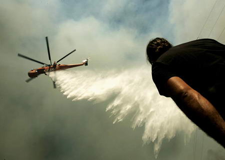 柩的夜会 只有那道新来的柩的夜光晕