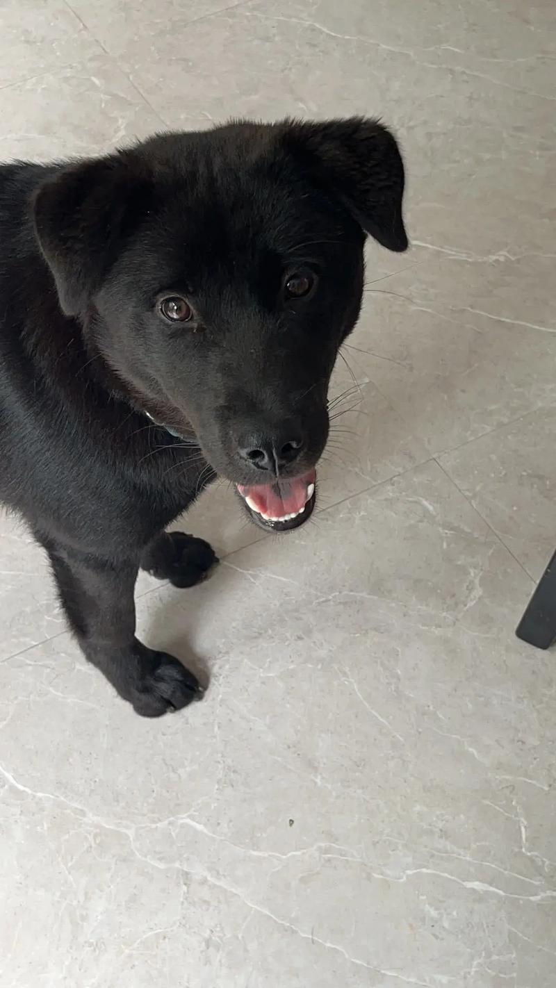 里番测评 如果你对日本动画文化感兴趣