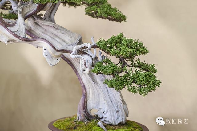 传送门导航在线 替代浏览器默认主页